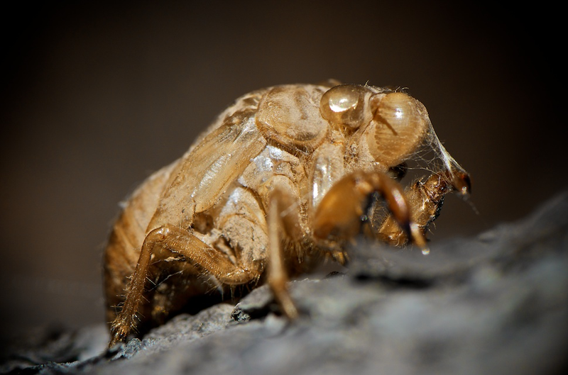 Illustration for article titled 153 Photos of Teeny Tiny Things